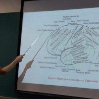 workshop ensino 2019